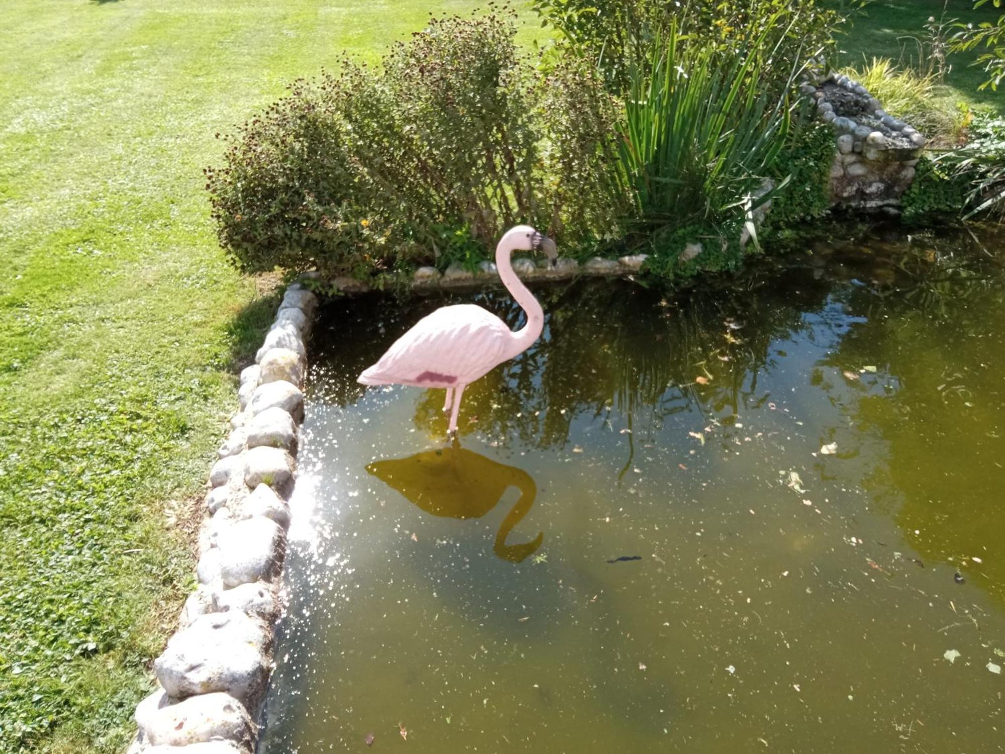 Gite Repos Et Tranquillite G Cayeux-sur-Mer Exteriér fotografie